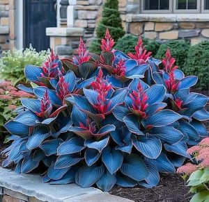 Хоста Грин Фог купить по цене от 669р. в интернет-магазине «Посадика» с доставкой почтой в в Корочае и по всей России – [изображение №1].