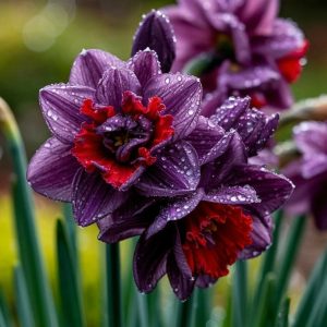 Нарцисс Минт Флер купить по цене от 2000р. в интернет-магазине «Посадика» с доставкой почтой в в Корочае и по всей России – [изображение №1].