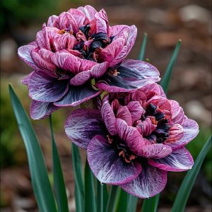 Нарцисс Моргатн Мотив купить по цене от 2000р. в интернет-магазине «Посадика» с доставкой почтой в в Корочае и по всей России – [изображение №1].