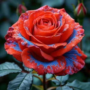 Роза Сикрет Гарден купить по цене от 619р. в интернет-магазине «Посадика» с доставкой почтой в в Корочае и по всей России – [изображение №1].