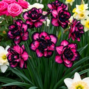 Нарцисс Золотая Корона купить по цене от 2000р. в интернет-магазине «Посадика» с доставкой почтой в в Корочае и по всей России – [изображение №1].