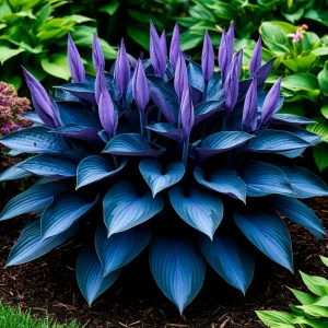 Хоста Сикрет Гров купить по цене от 570р. в интернет-магазине «Посадика» с доставкой почтой в в Корочае и по всей России – [изображение №1].