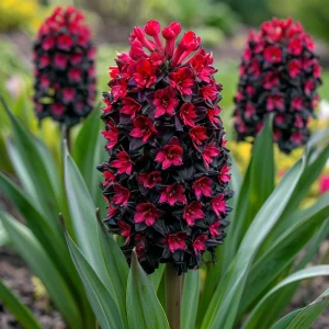 Гиацинт Джем Стоун купить по цене от 2099р. в интернет-магазине «Посадика» с доставкой почтой в в Корочае и по всей России – [изображение №1].