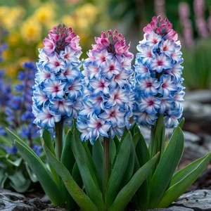 Гиацинт Пинк Мари купить по цене от 2099р. в интернет-магазине «Посадика» с доставкой почтой в в Корочае и по всей России – [изображение №1].