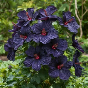 Гибискус Мэджик Момент купить по цене от 699р. в интернет-магазине «Посадика» с доставкой почтой в в Корочае и по всей России – [изображение №1].