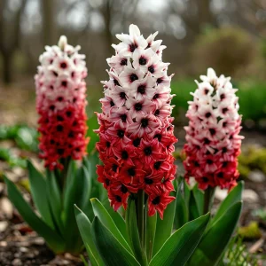 Гиацинт Скай Гарден купить по цене от 2099р. в интернет-магазине «Посадика» с доставкой почтой в в Корочае и по всей России – [изображение №1].