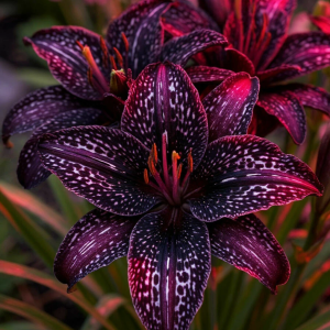 Лилейник Вояж купить по цене от 699р. в интернет-магазине «Посадика» с доставкой почтой в в Корочае и по всей России – [изображение №1].